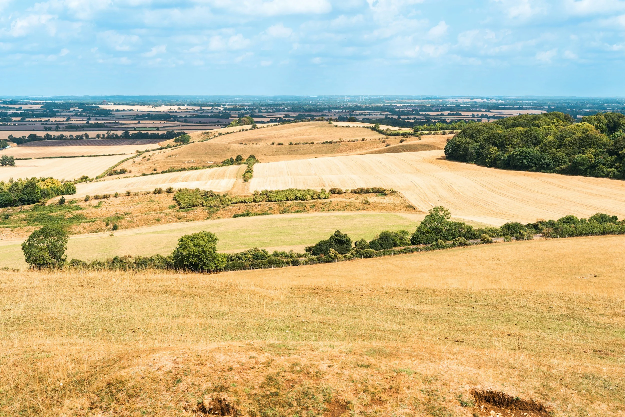 Climate we had in 20th Century 'has now gone' - Met Office.