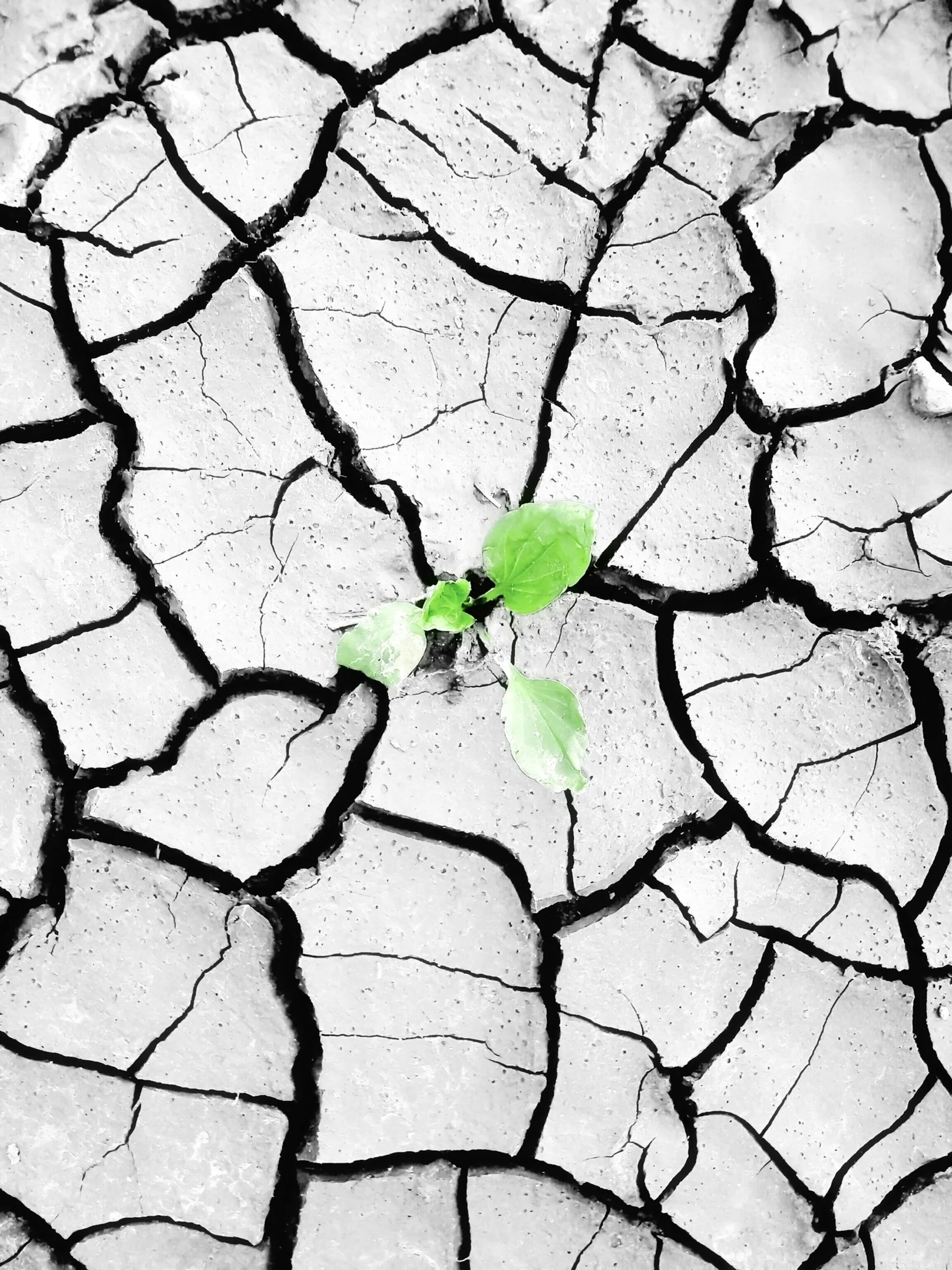 Climate crisis-driven heat ‘sucking soils dry’ as extreme drought hits Europe.