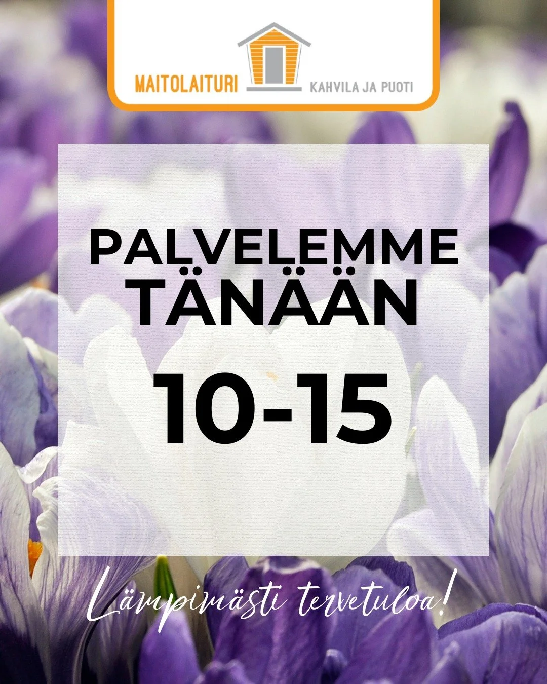 Olemme t&auml;n&auml;&auml;n avoinna klo 10-15, tervetuloa 🧡

#omankyl&auml;nolohuone #maitolaiturikahvilapuoti