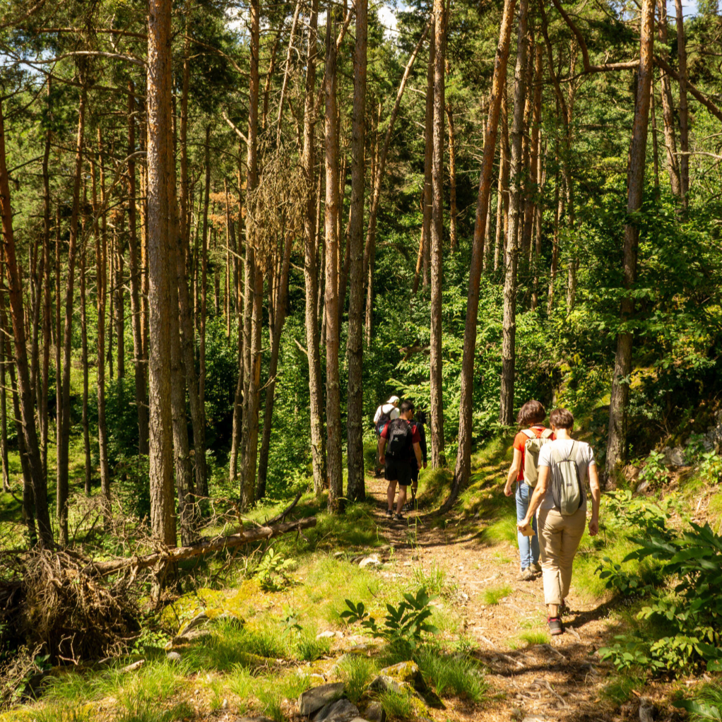Art & nature team building retreat