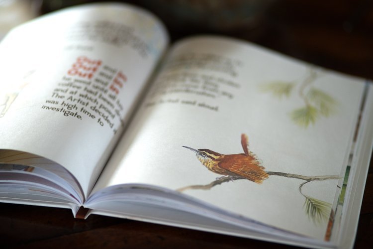 The+Artist+and+the+Wren+book+interior+4-1.jpg