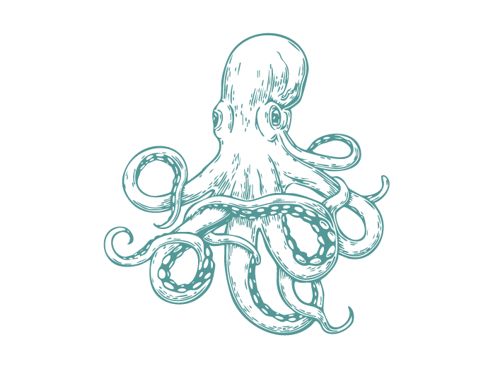 Fish Illustrations_Octopus.png