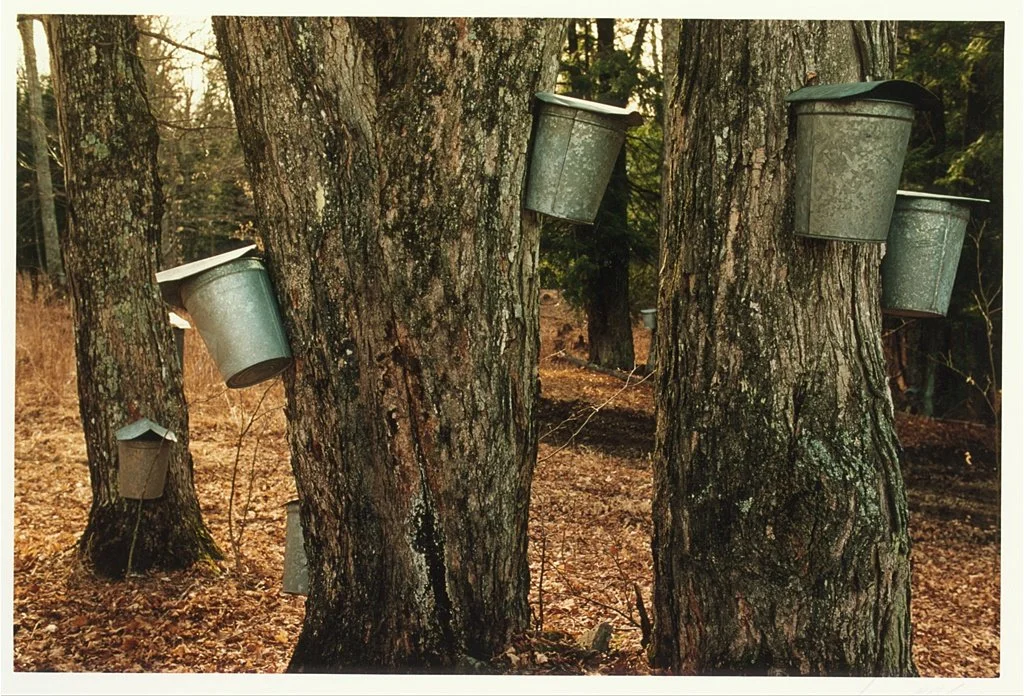 VT Folklife Listening Party