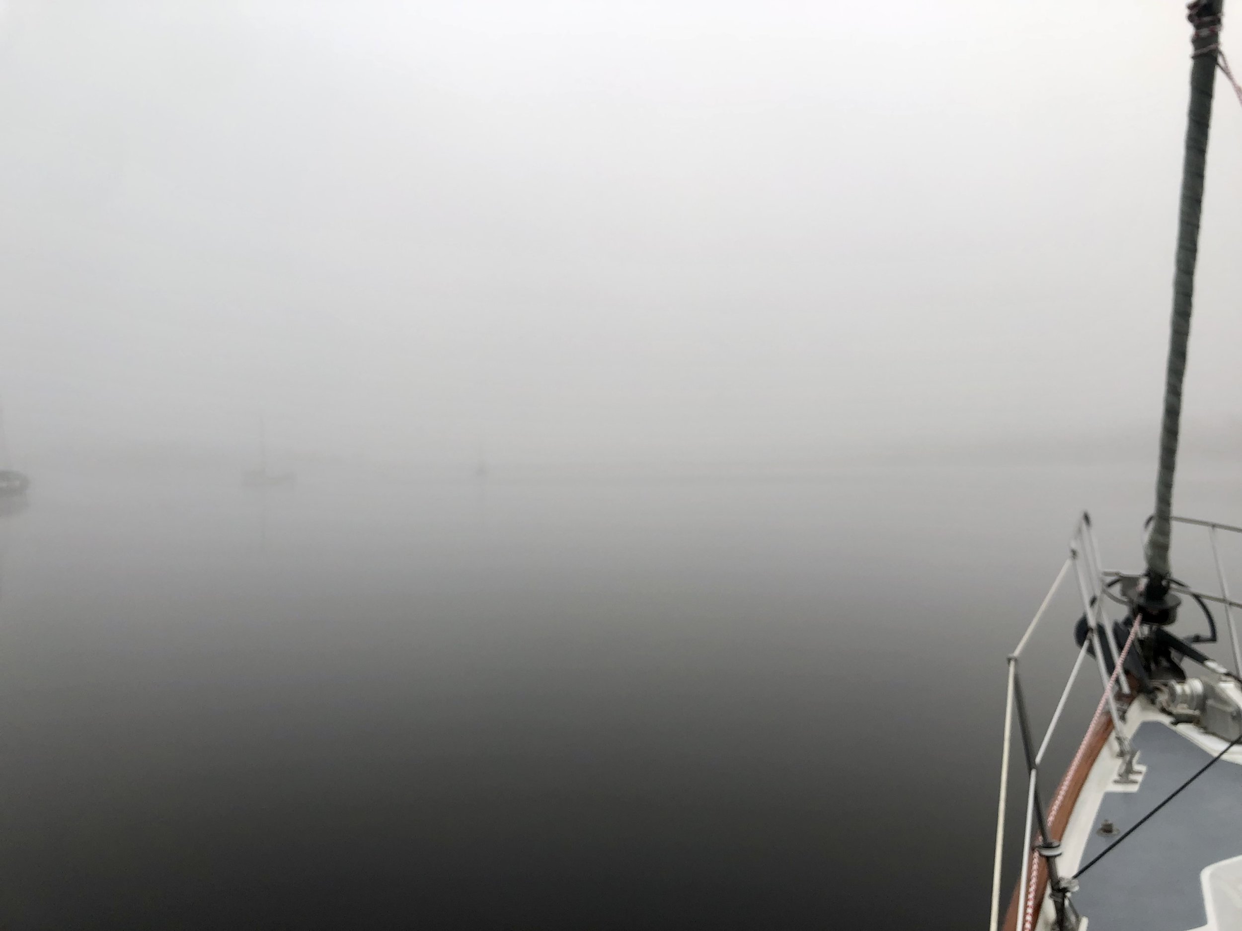 Navigating Life’s Fog