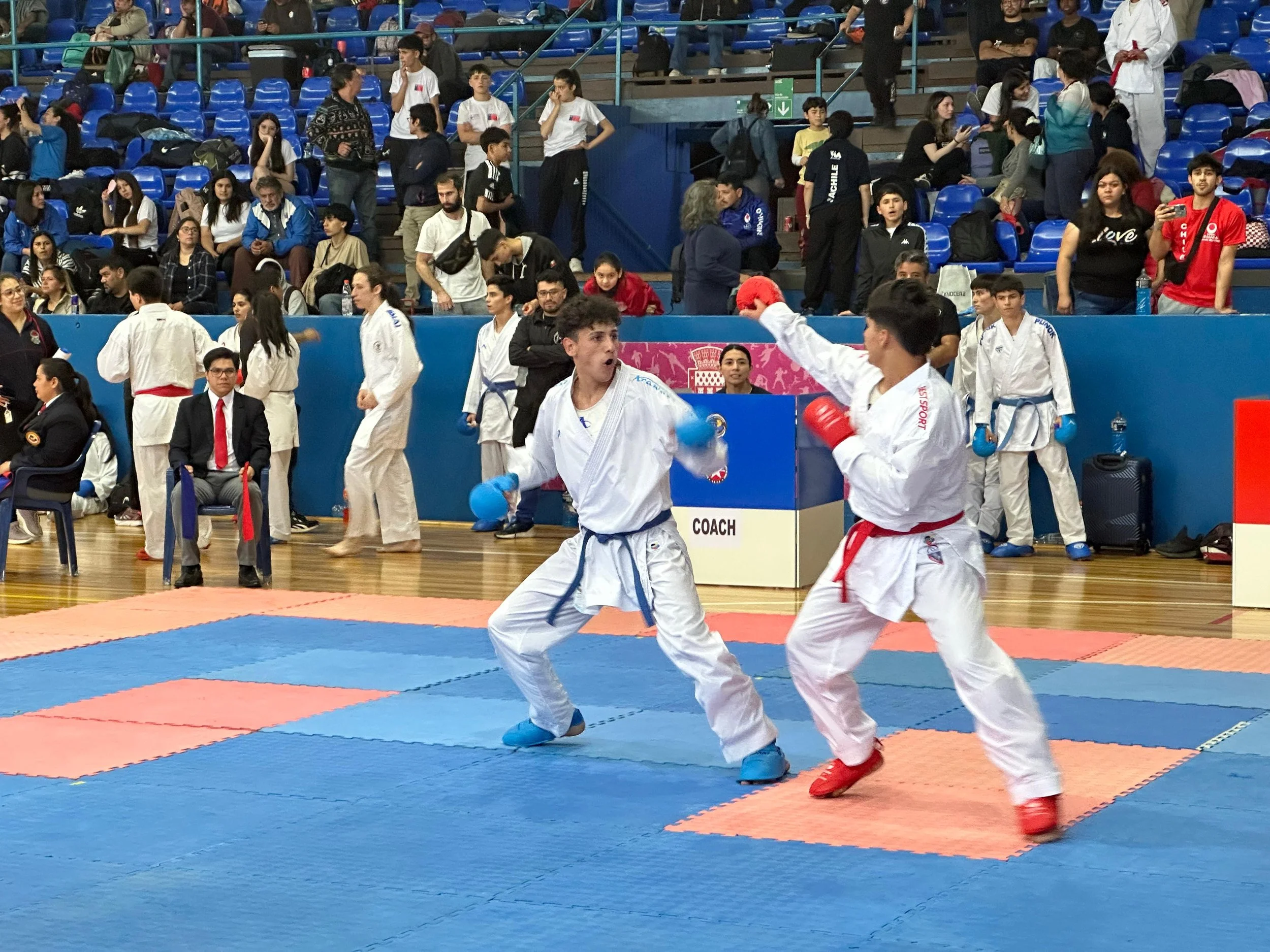 Casa del Deporte de Chillán fue el epicentro del mejor karate del centro surde Chile
