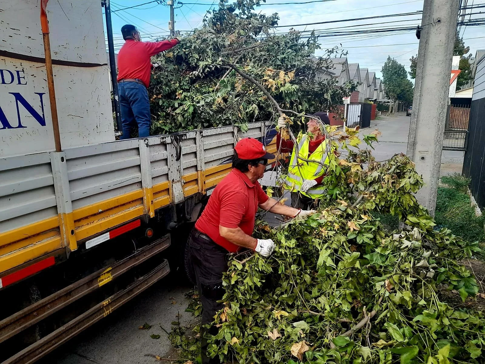 Seminario de Arbolado Urbano Municipal para dirigentes sociales unificará criterios para podas