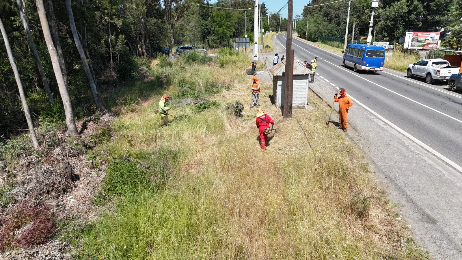 MOP LIMPIA 217 KILÓMETROS DE FAJAS VIALES EN 11 RUTAS CLAVES DE ÑUBLE PARA PREVENIR INCENDIOS FORESTALES