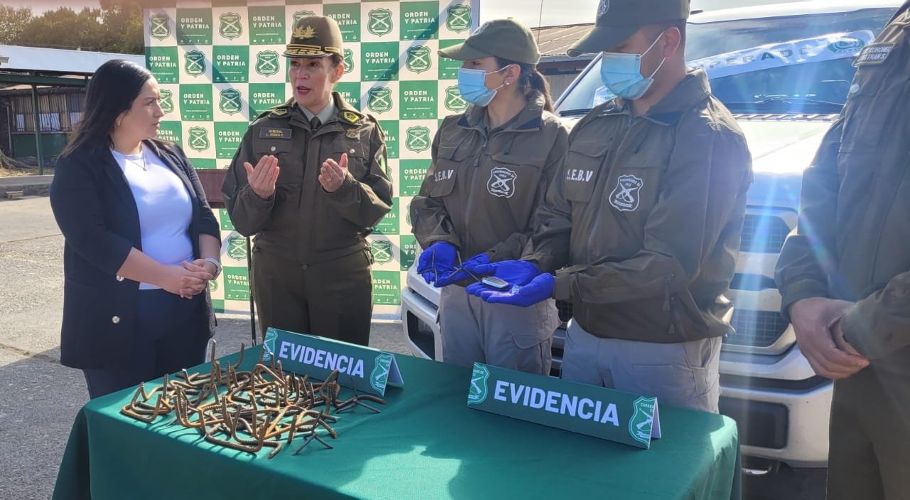Carabineros del SEBV Ñuble recuperó camioneta de alta gama robada en Temuco y detuvo a mujer que la escondía en su vivienda