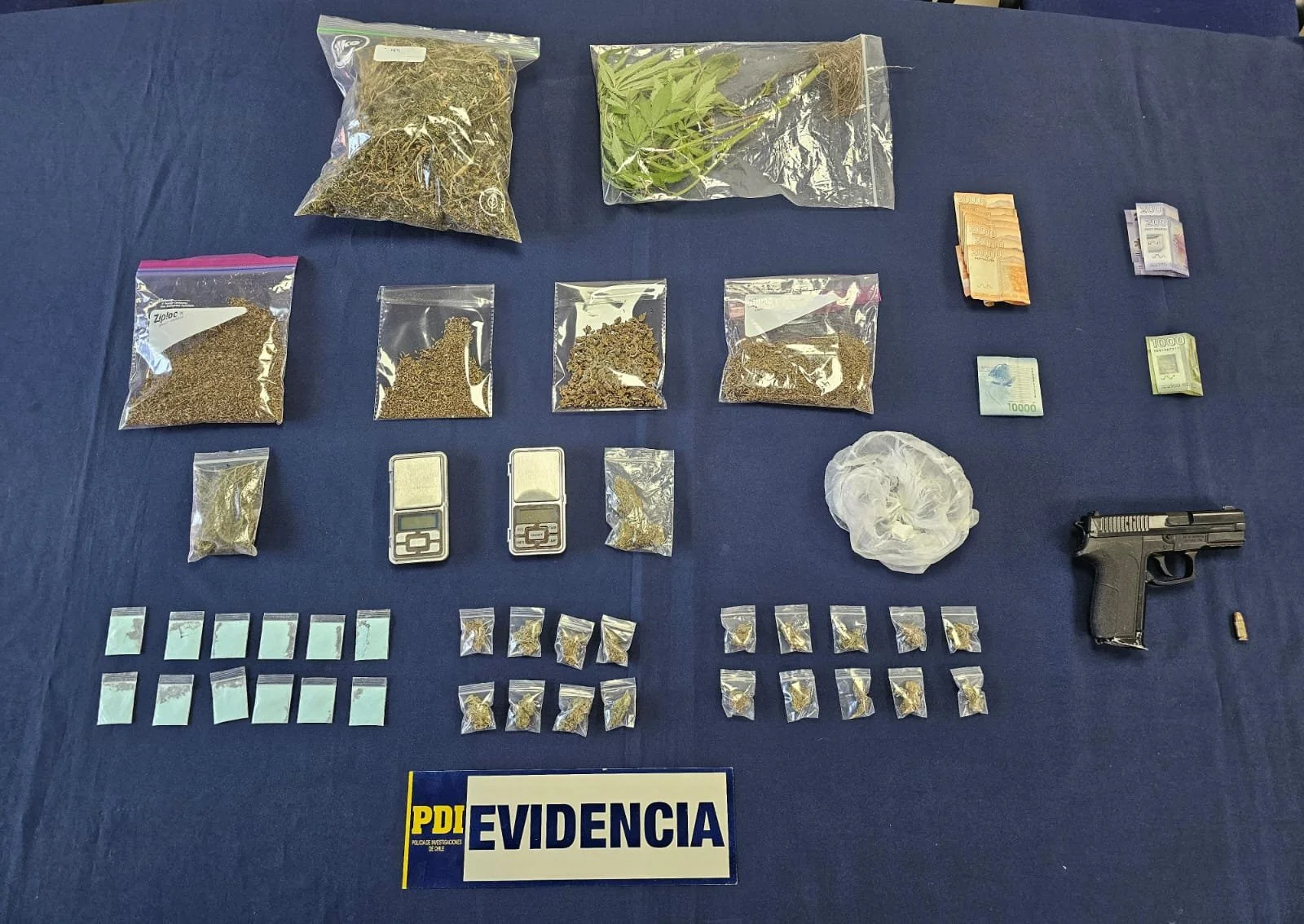 PDI INCAUTA DROGA Y DETIENE A SEIS PERSONAS EN OPERATIVO MASIVO EN QUILLÓN