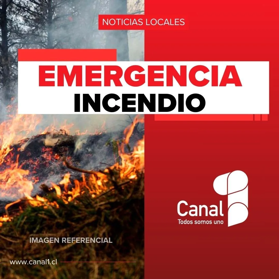 Bomberos Chill&aacute;n concurre camino a Cato Sector Reloca, fuego en pastizal