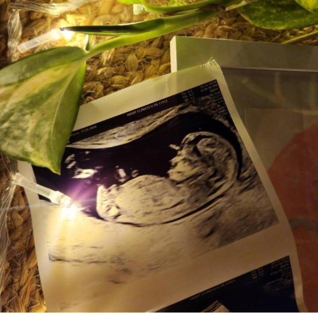 Presidente Boric confirma que se convertirá en padre