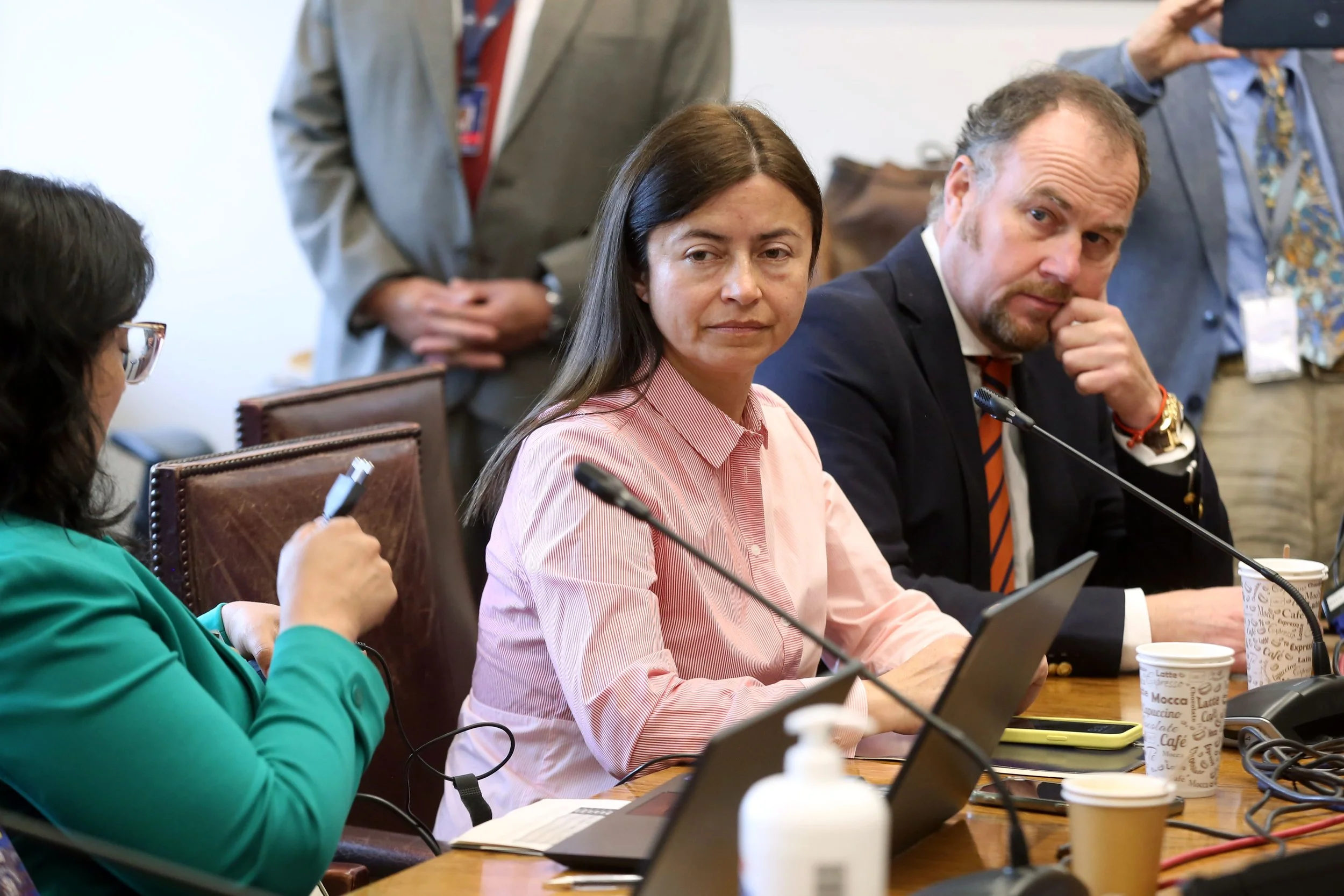 Diputada Marta Bravo pedirá una comisión investigadora por incendio en Reserva de la Biosfera de Ñuble