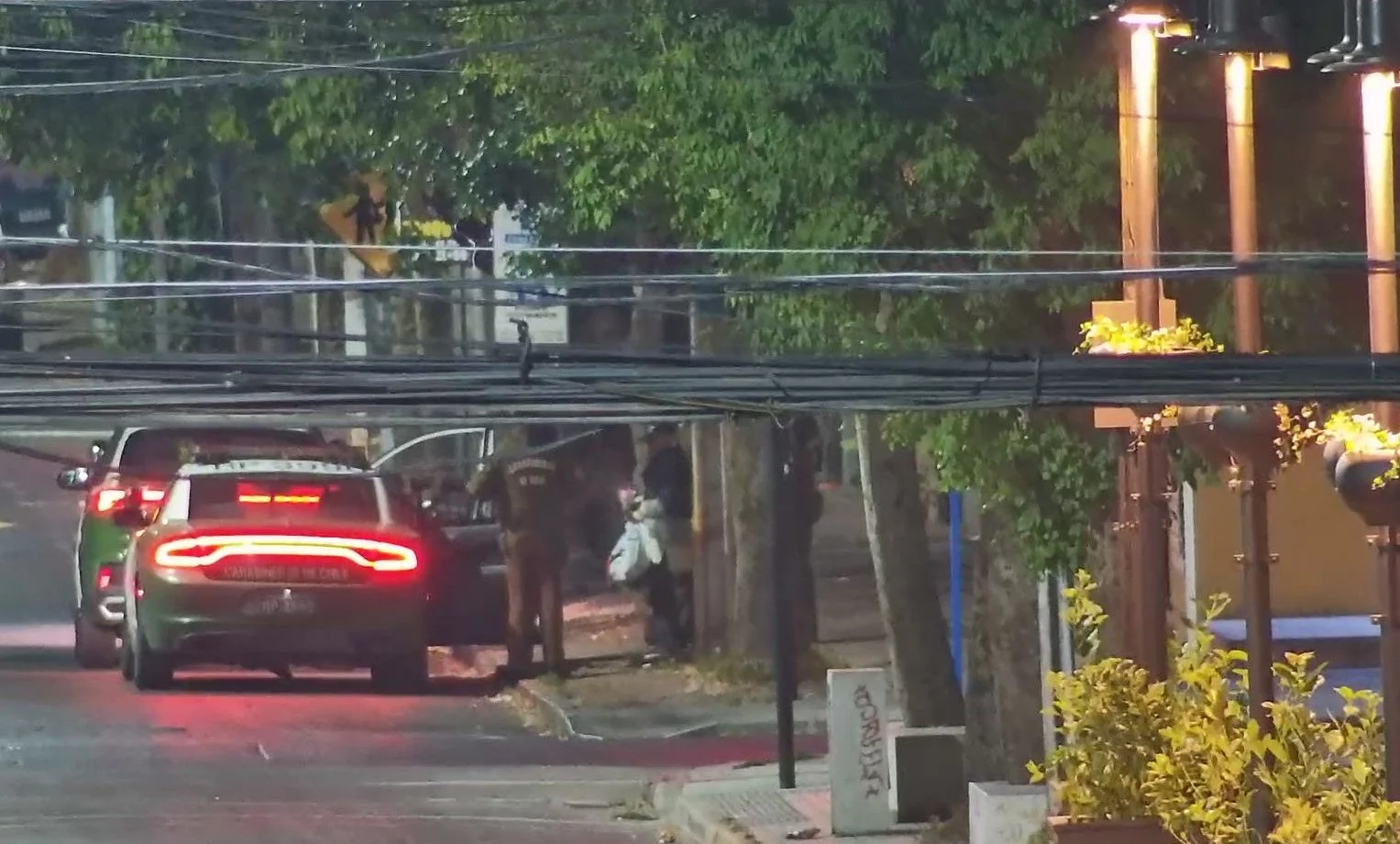 Detienen a personas que robaron especies vegetales del Paseo de Los Artistas