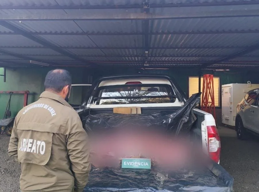 Carabineros desarmó matadero ilegal en San Fabián y detuvo a 3 sujetos por abigeato