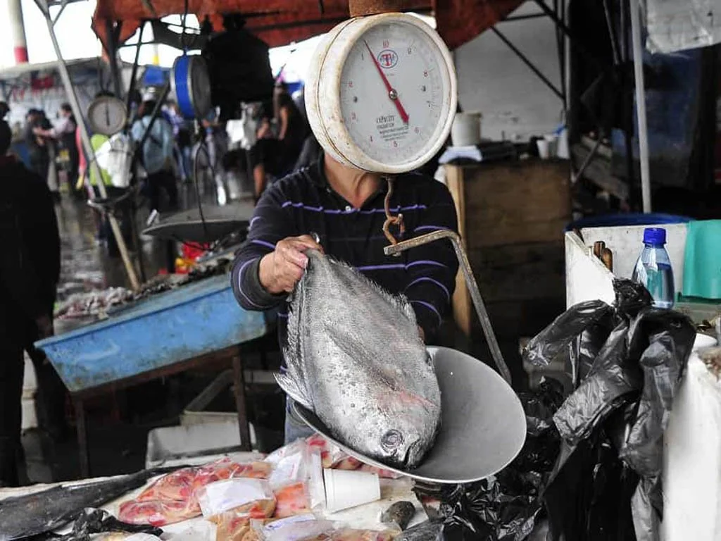 Semana Santa en Chillán. Municipalidad desplegará campaña de prevención y control&nbsp;&nbsp;