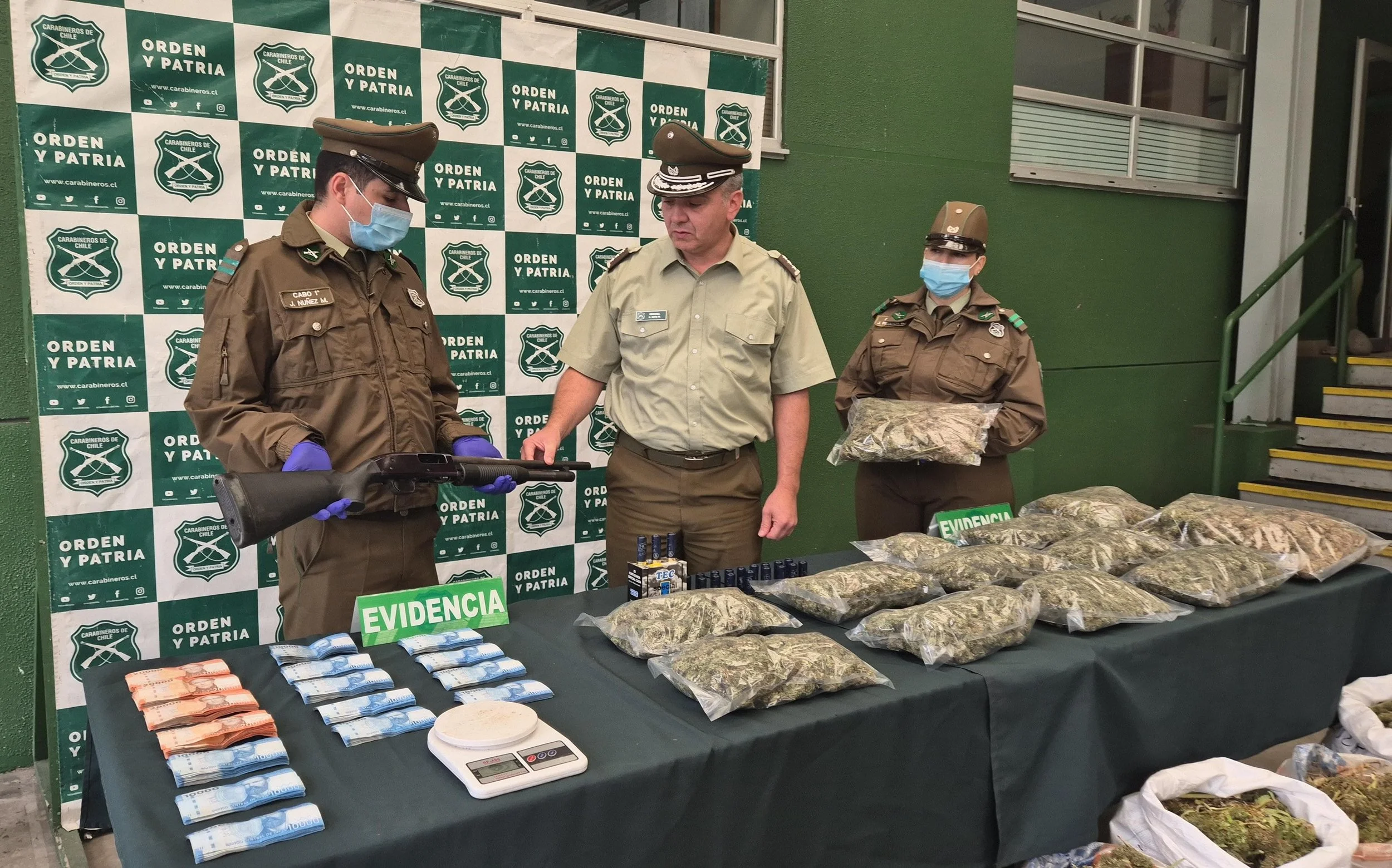 Tenía armamento: Carabineros del OS7 Ñuble detuvo a sujeto que mantenía invernadero para cultivo y elaboración de marihuana en Ñiquén