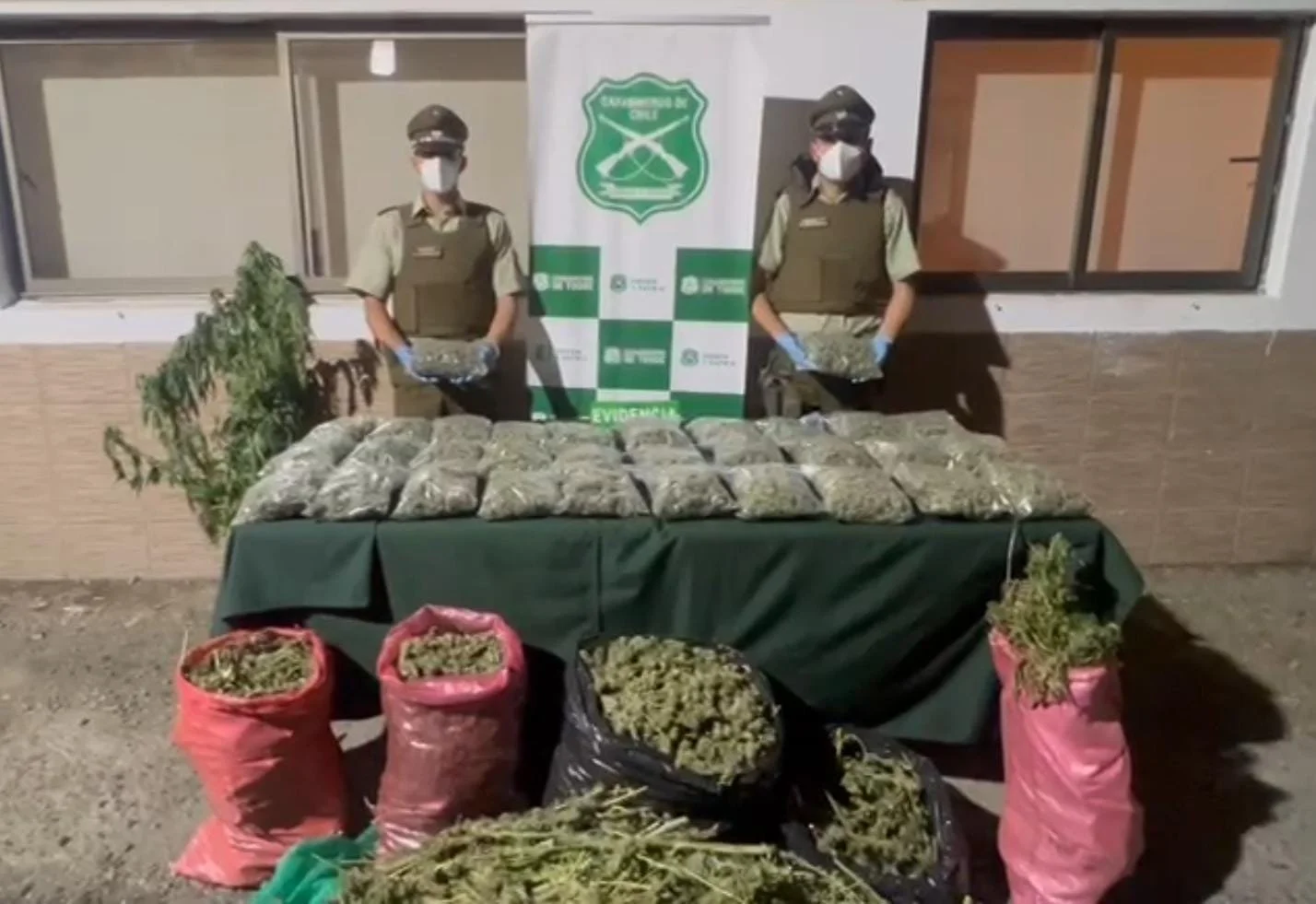 Procedimientos en San Nicolás y San Ignacio: En menos de 12 horas Carabineros del OS7 Ñuble detuvo a 4 sujetos e incautó más de 38 kilos de droga