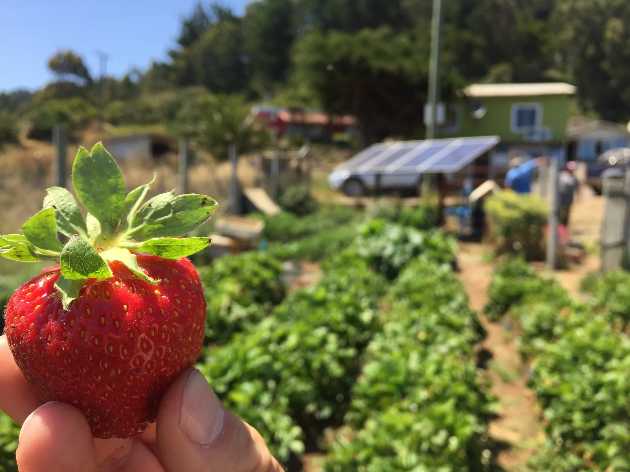 CNR Biobío invita a mujeres agricultoras a capacitarse en riego fotovoltaico para potenciar su trabajo en el campo