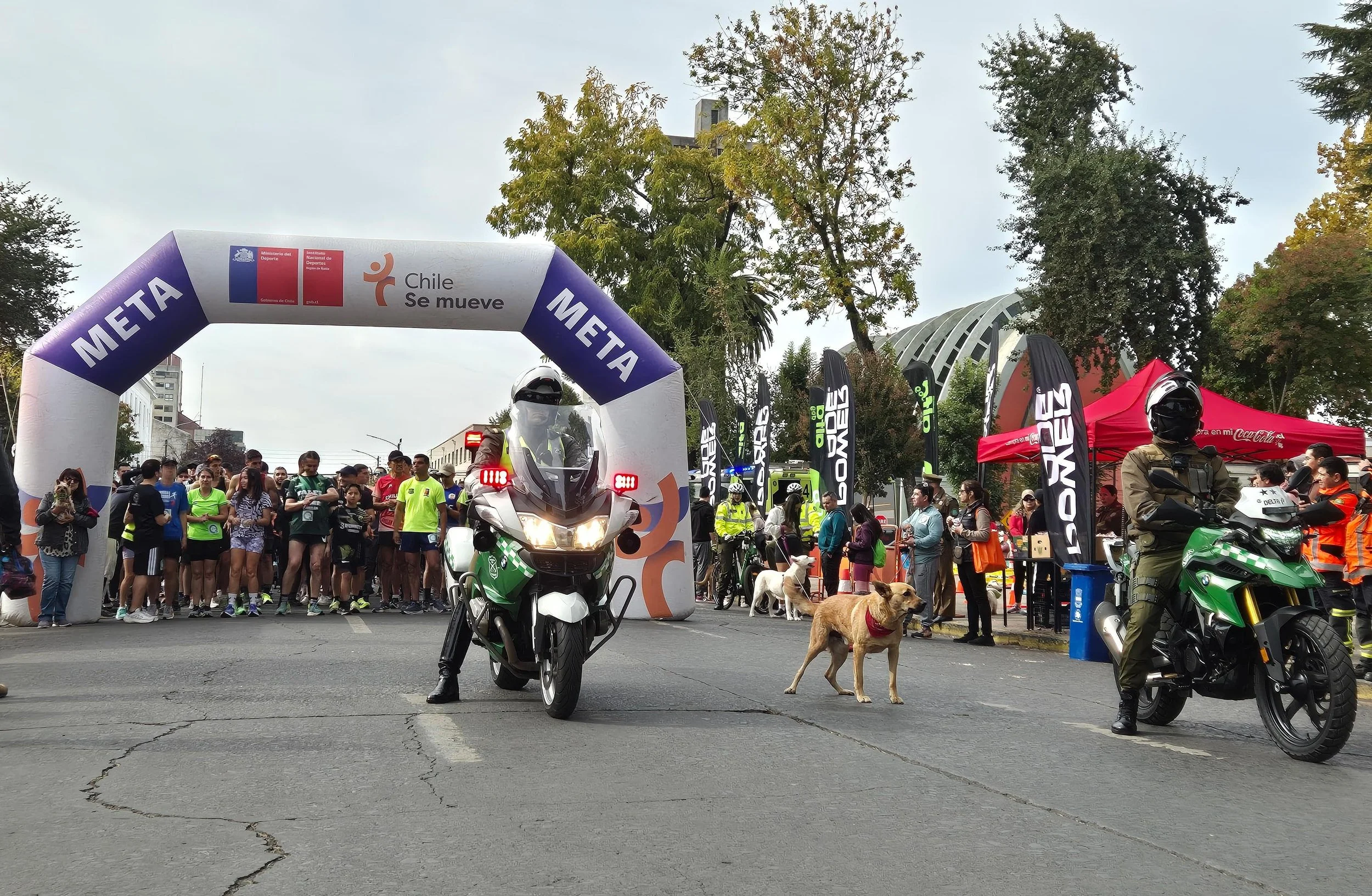 Chillán: Más de 800 personas participaron en la Corrida Familiar y Caminata Canina por aniversario 98 de Carabineros de Chile