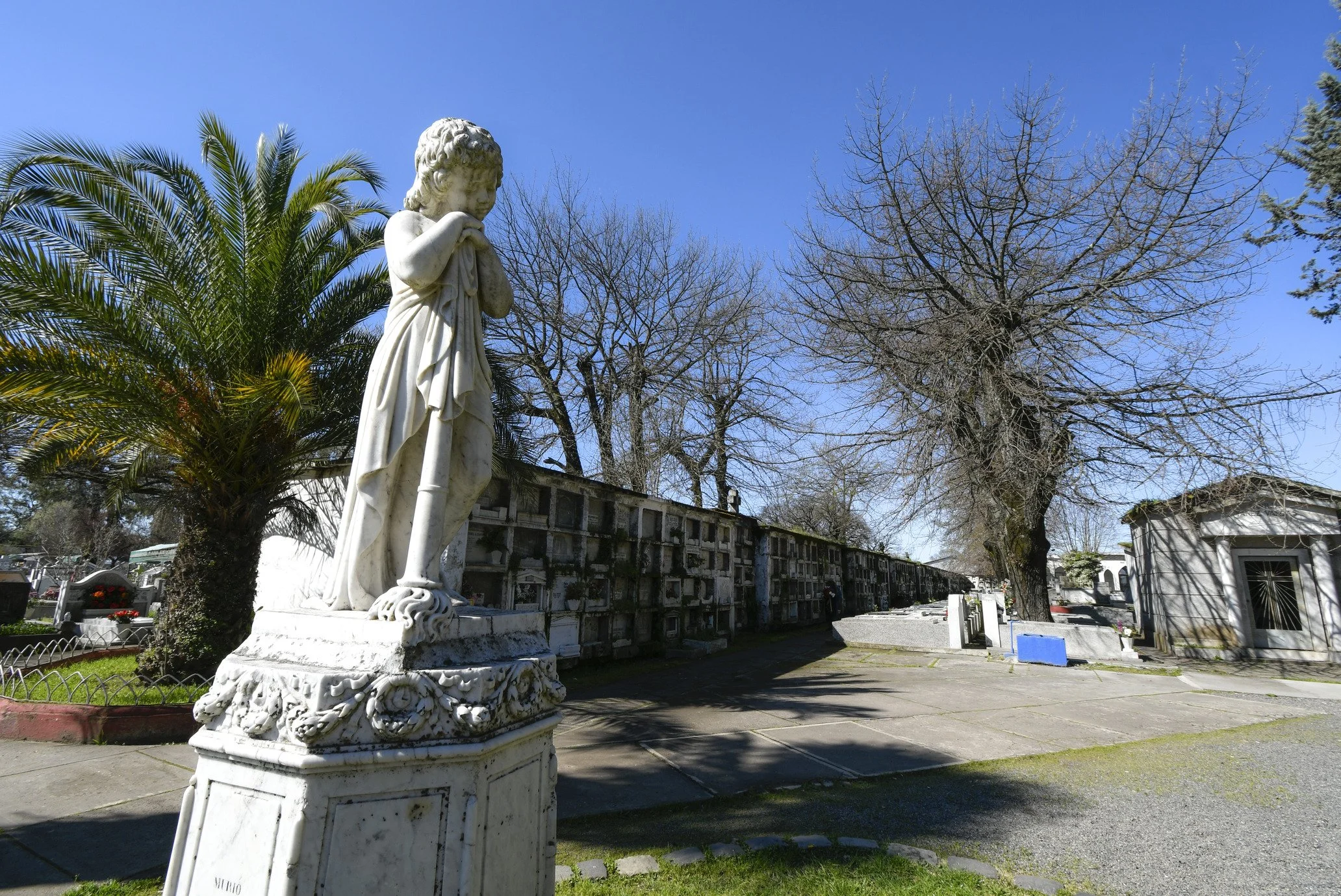 Cementerio Municipal mantendrá horarios habituales durante el fin de semana