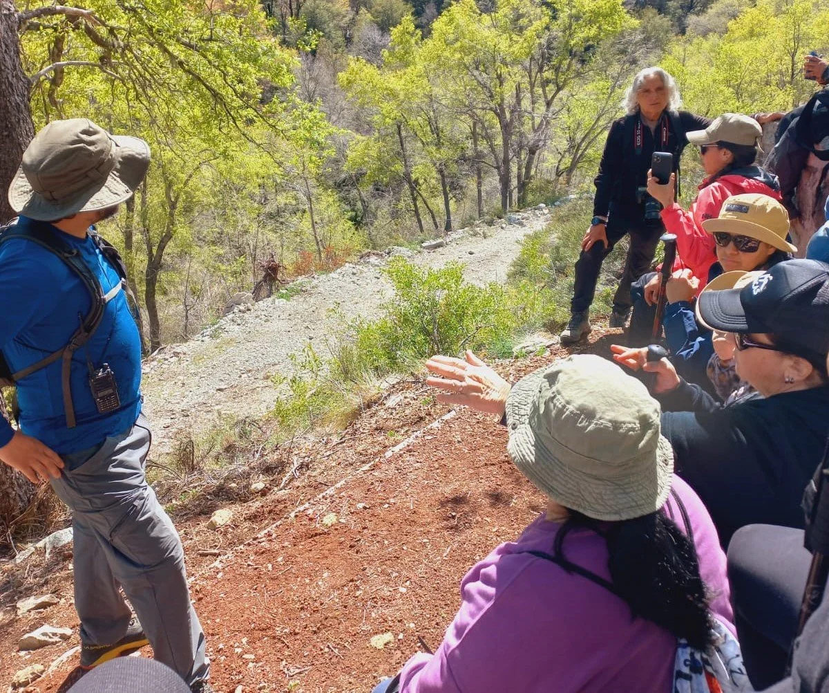 Conoce los cursos gratuitos que Sence ofrece en cuatro comunas de Ñuble