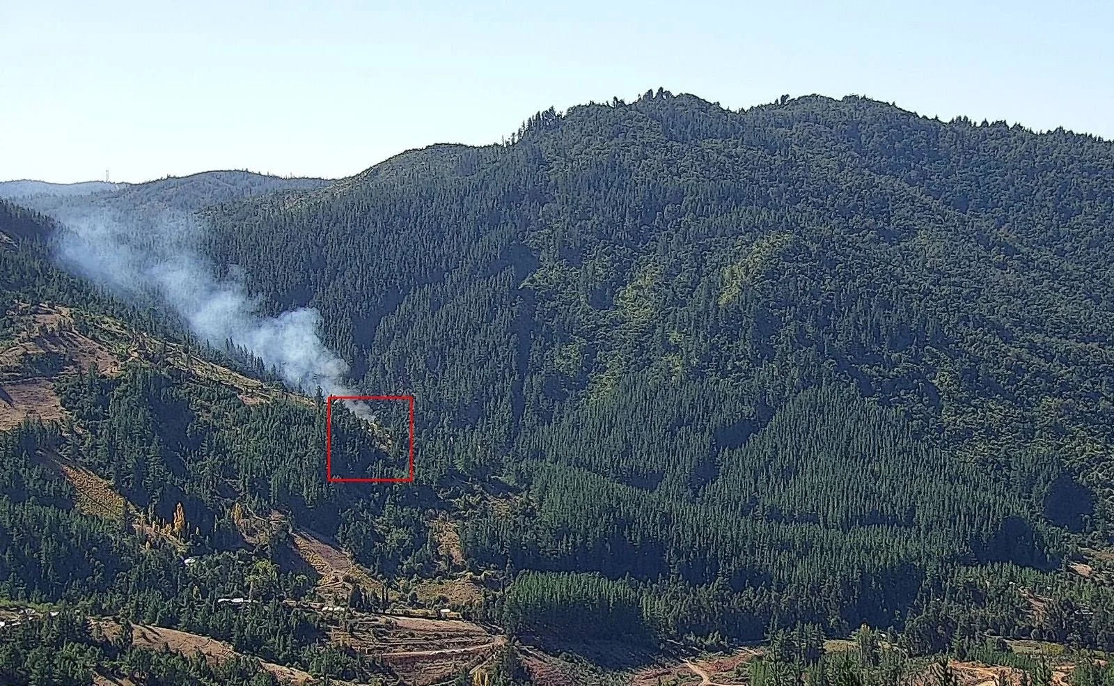 Brigadas de CONAF combaten incendio forestal en sector de Cucha Cucha, comuna de Portezuelo