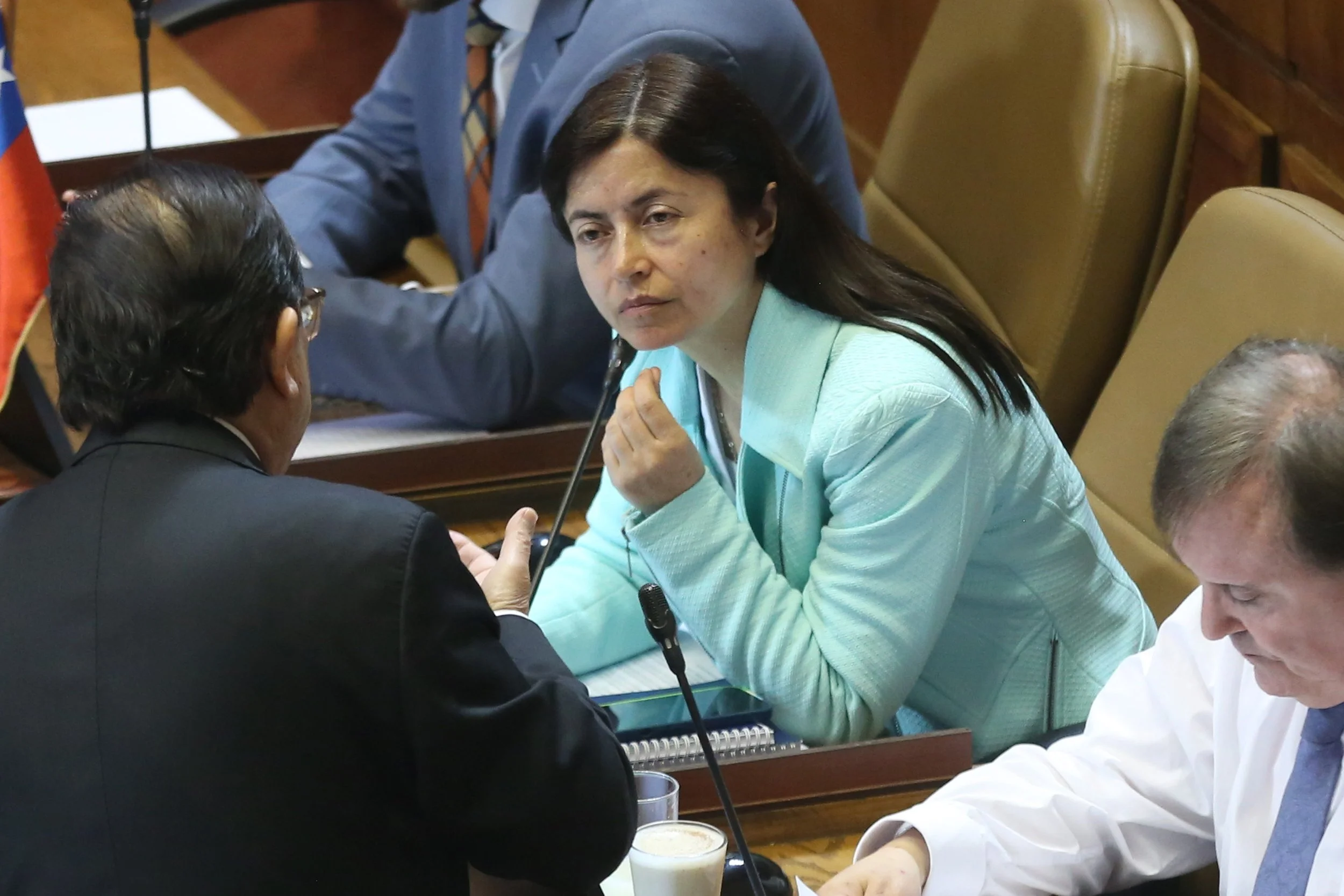 Diputada Marta Bravo solicitó al Gobierno un plan integral para otorgar a Ñuble plena soberanía sobre su mar