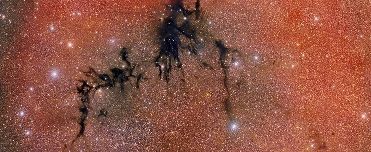 Desde Chile capturan un nido estelar escondido en una oscura nebulosa