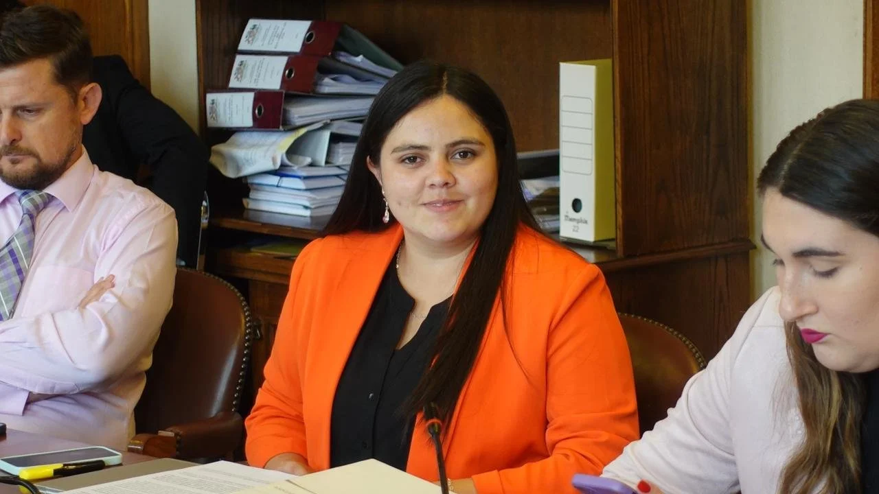 Diputada Sara Concha (PSC) impulsa proyecto para erradicar el abuso sexual y el maltrato infantil en Chile
