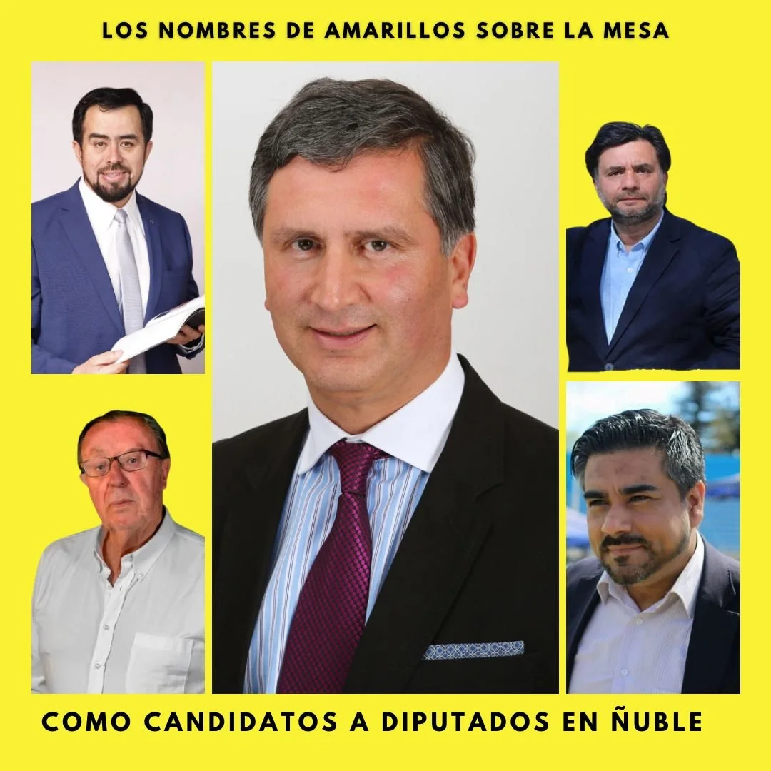 los 5 nombres de amarillos sobre la mesa para ir como candidato a diputado por ñuble