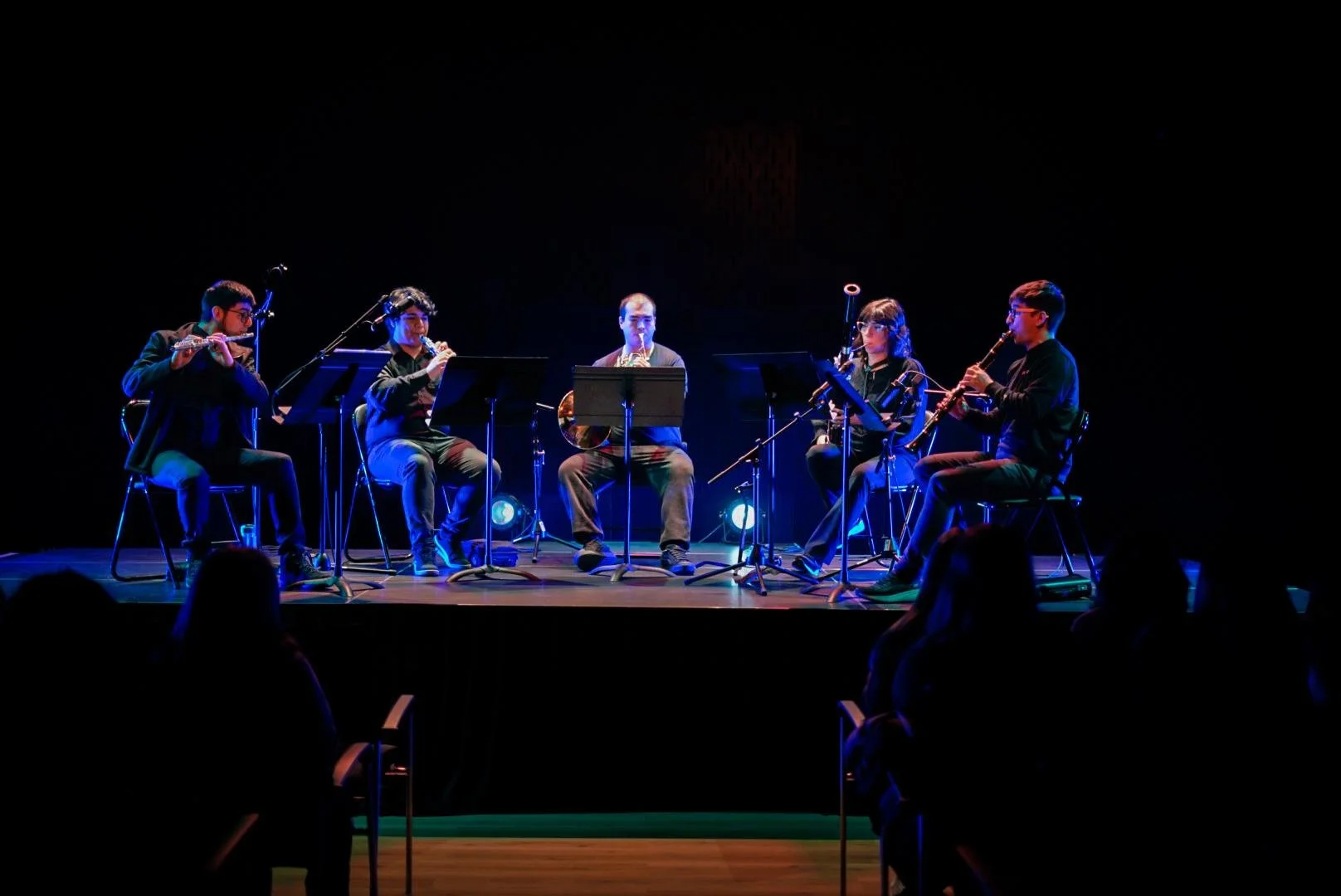 Con conciertos, visitas guiadas y exposiciones se vive la Semana de la Educación Artística en Chillán&nbsp;