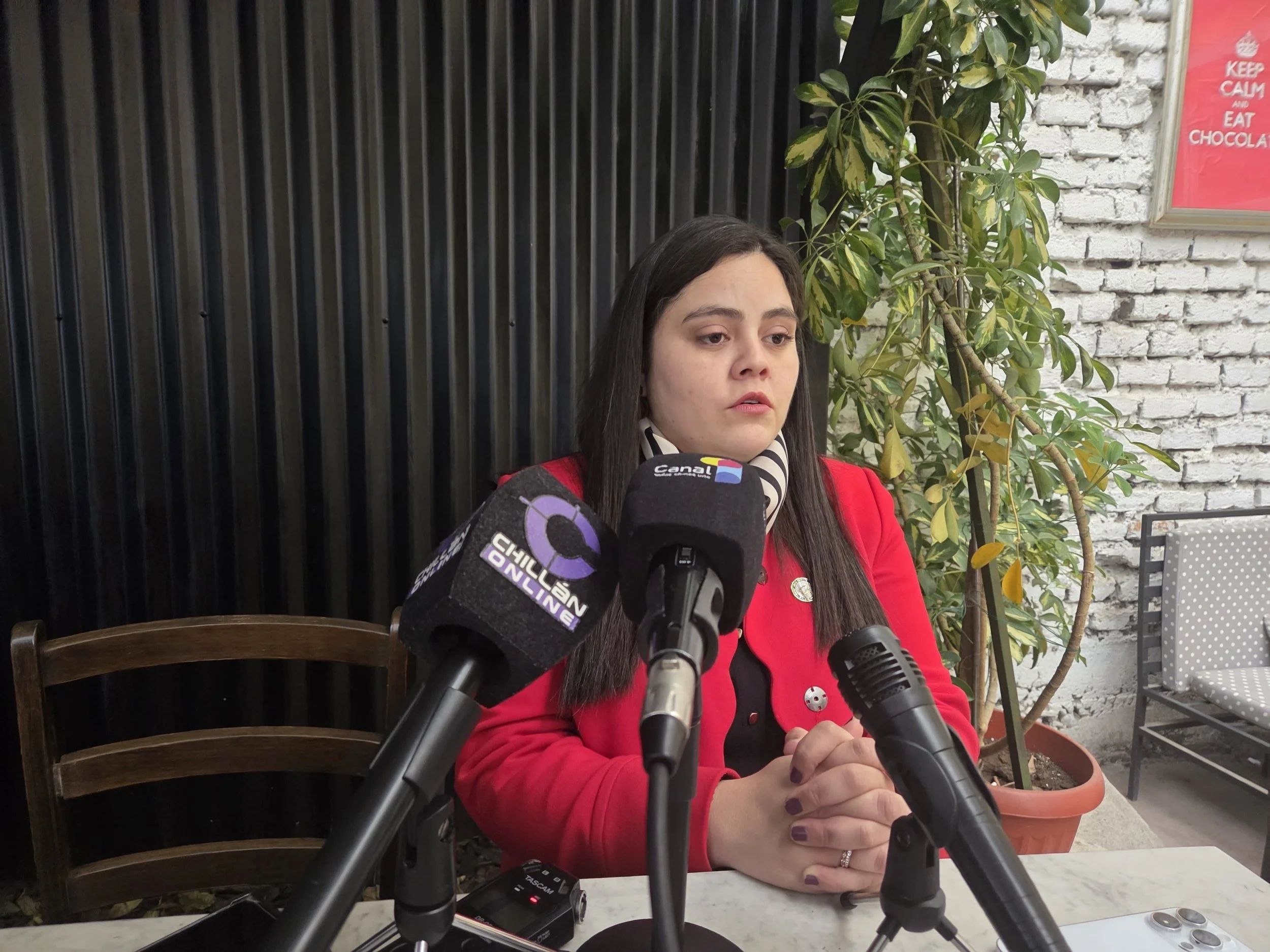 Diputada Sara Concha destaca avances legislativos en seguridad, derechos de la infancia y pensiones