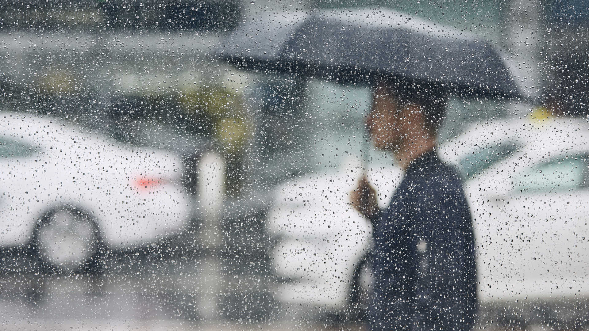 Alerta meteorológica: temporal con lluvias y viento afectará a Ñuble y 10 regiones más