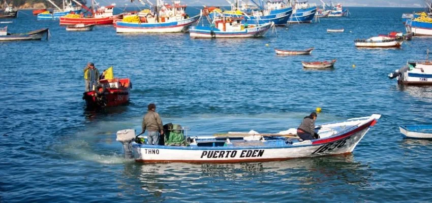 ¡Pescadores artesanales de Ñuble! Presente sus antecedentes para evitar ser caducados en el Registro Pesquero Artesanal&nbsp;