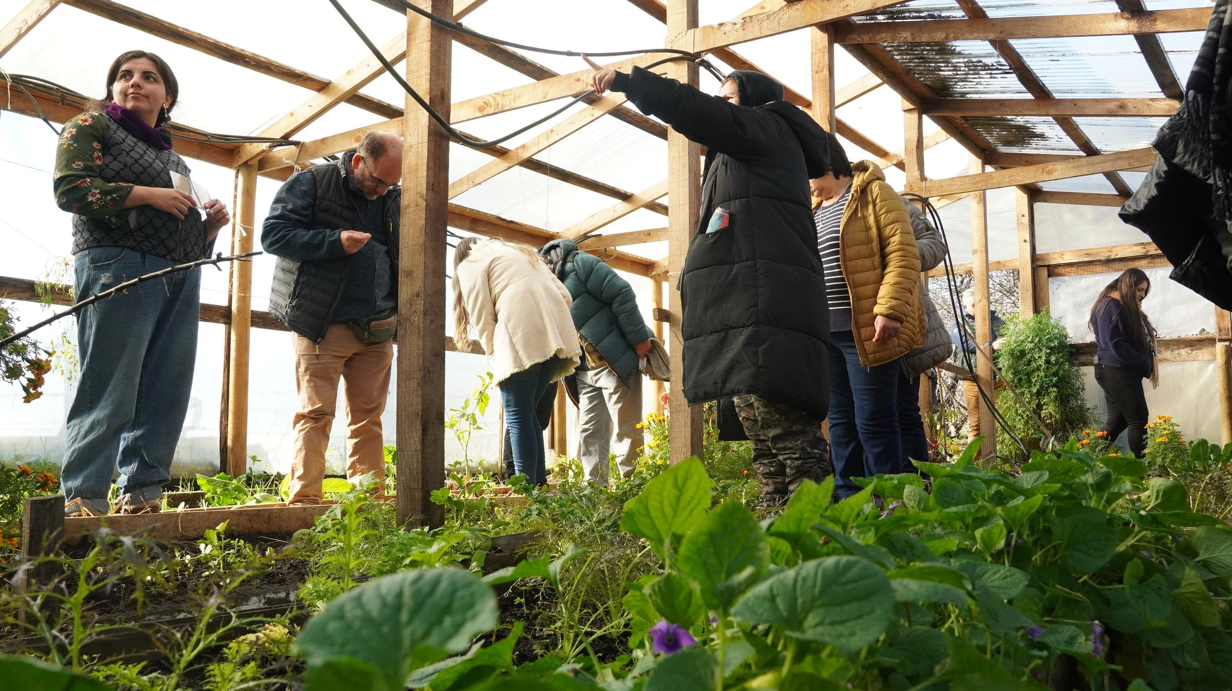 Encuentro agroecológico conectó a barrios de Ñuble