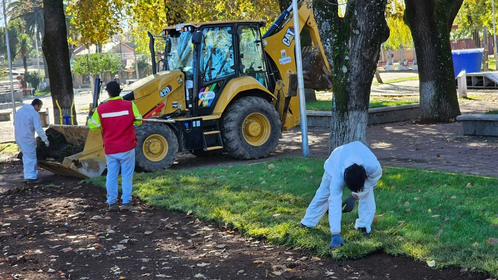 Recambian 1.800 metros cuadrados de pasto en sectores urbanos de El Carmen