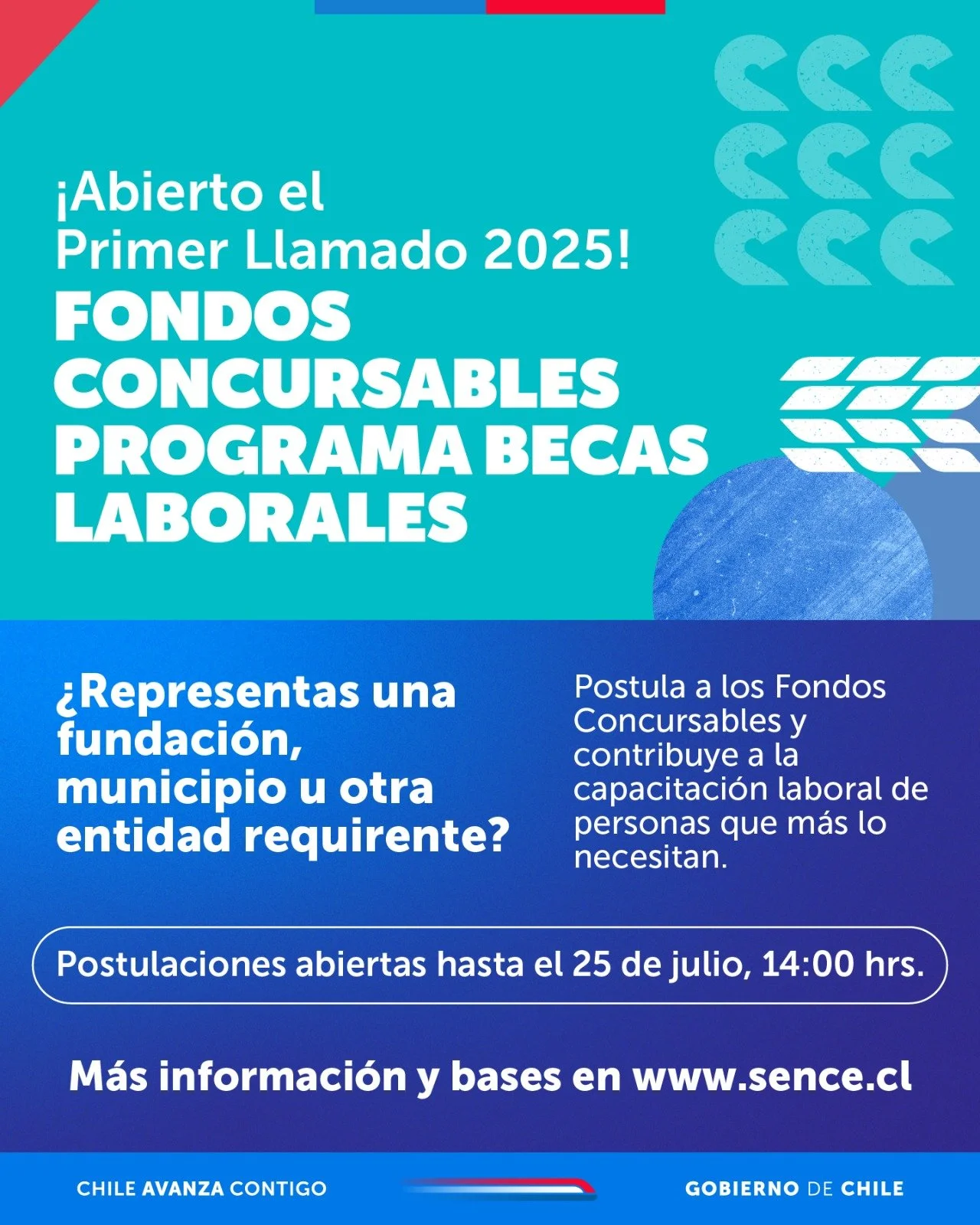 Sence abrió postulación a fondos concursables por $252 millones para cursos en Ñuble