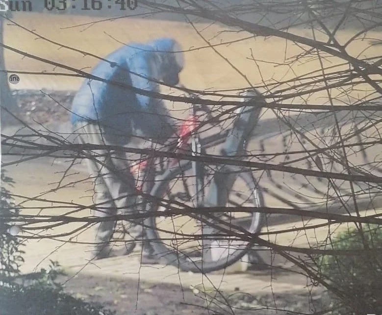 Gracias a cámaras de la Plaza de Armas frustran robo y un hombre es detenido