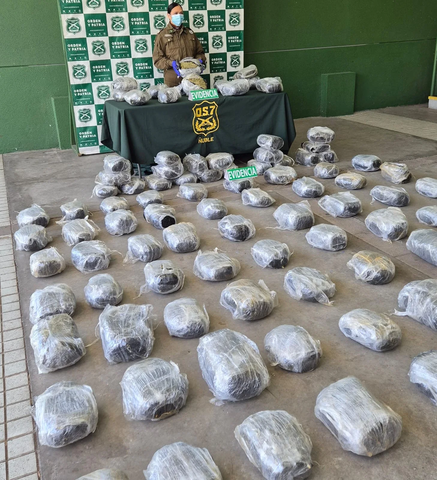Carabineros incauta más de mil millones en marihuana en San Carlos