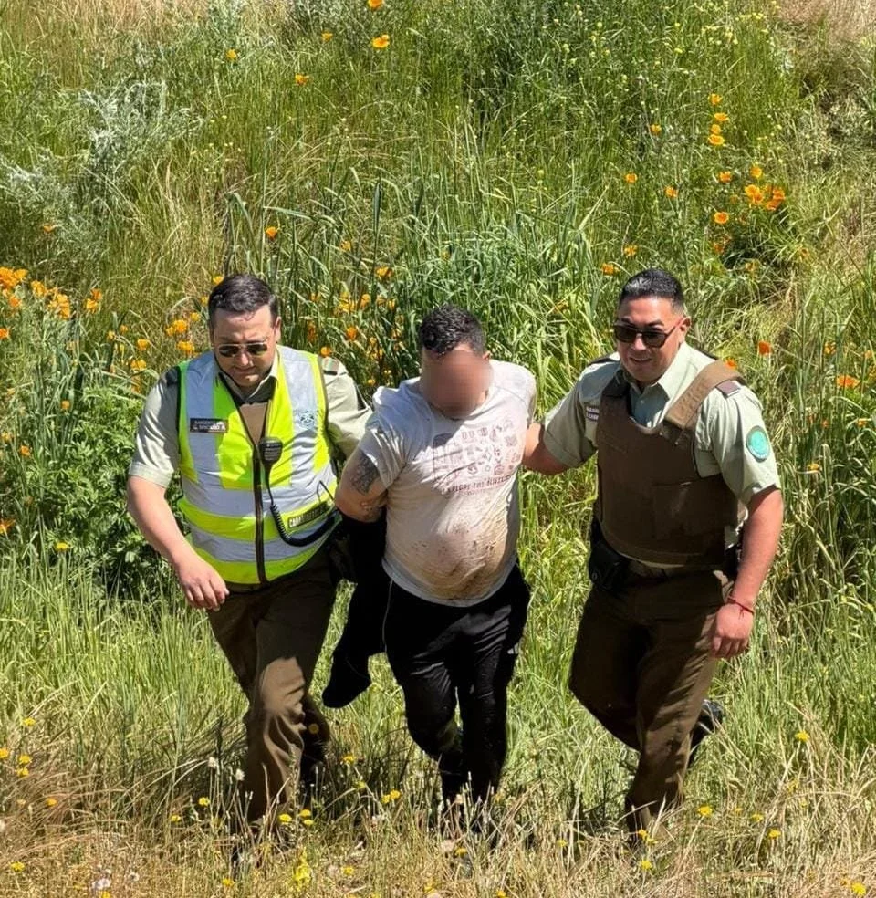 Carabineros detuvo en San Nicolás a sujetos que intentaron escapar por predios tras ingresar a una vivienda en Pedro de Nilahue