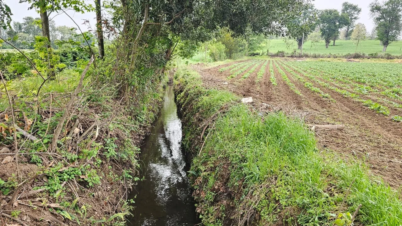 Habilitan el Canal de Riego Municipal de El Carmen: Abastece a 150 familias