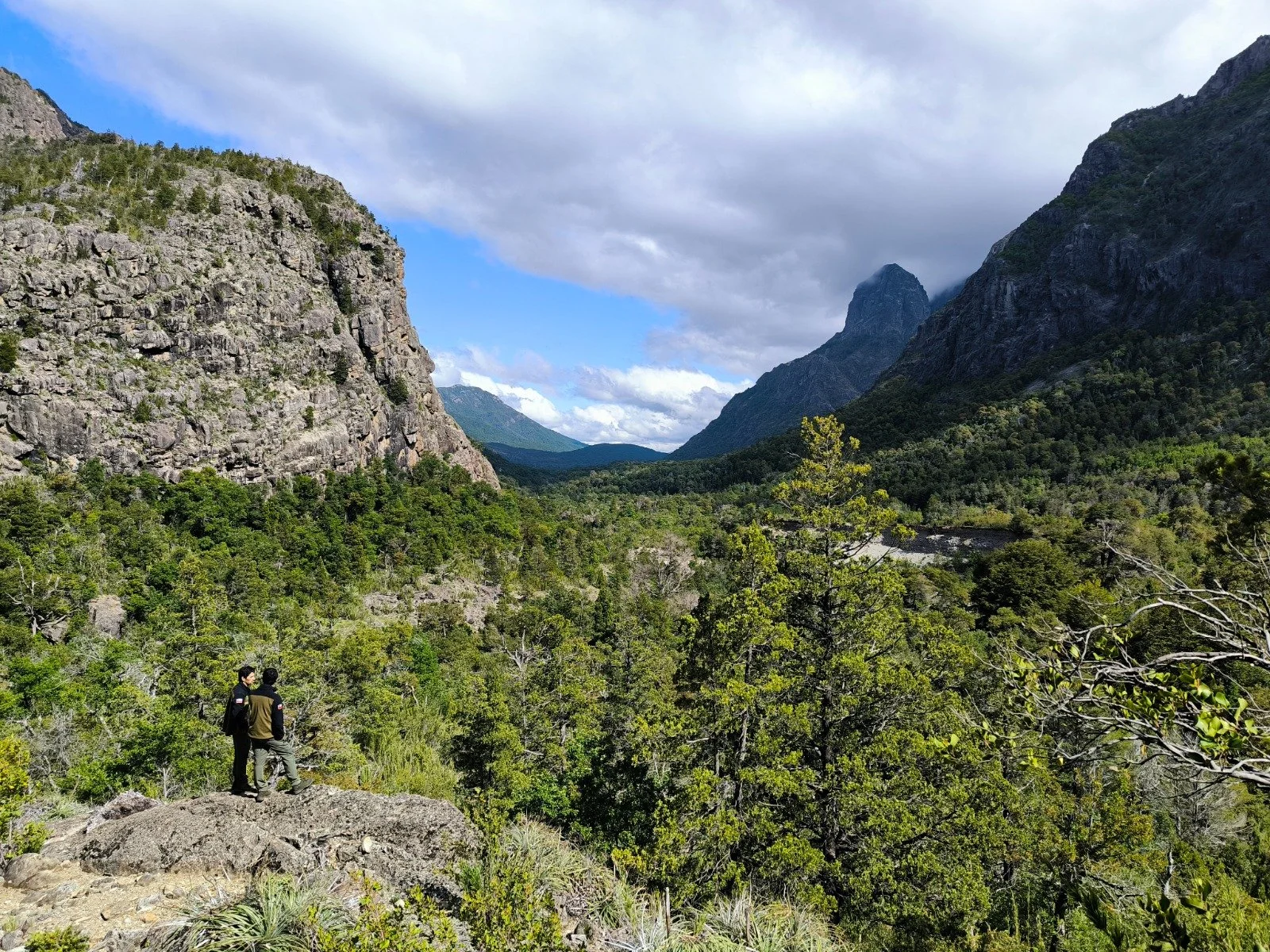 CONAF y Fiscalía Regional fortalecen la persecución de responsables de incendios forestales en Ñuble