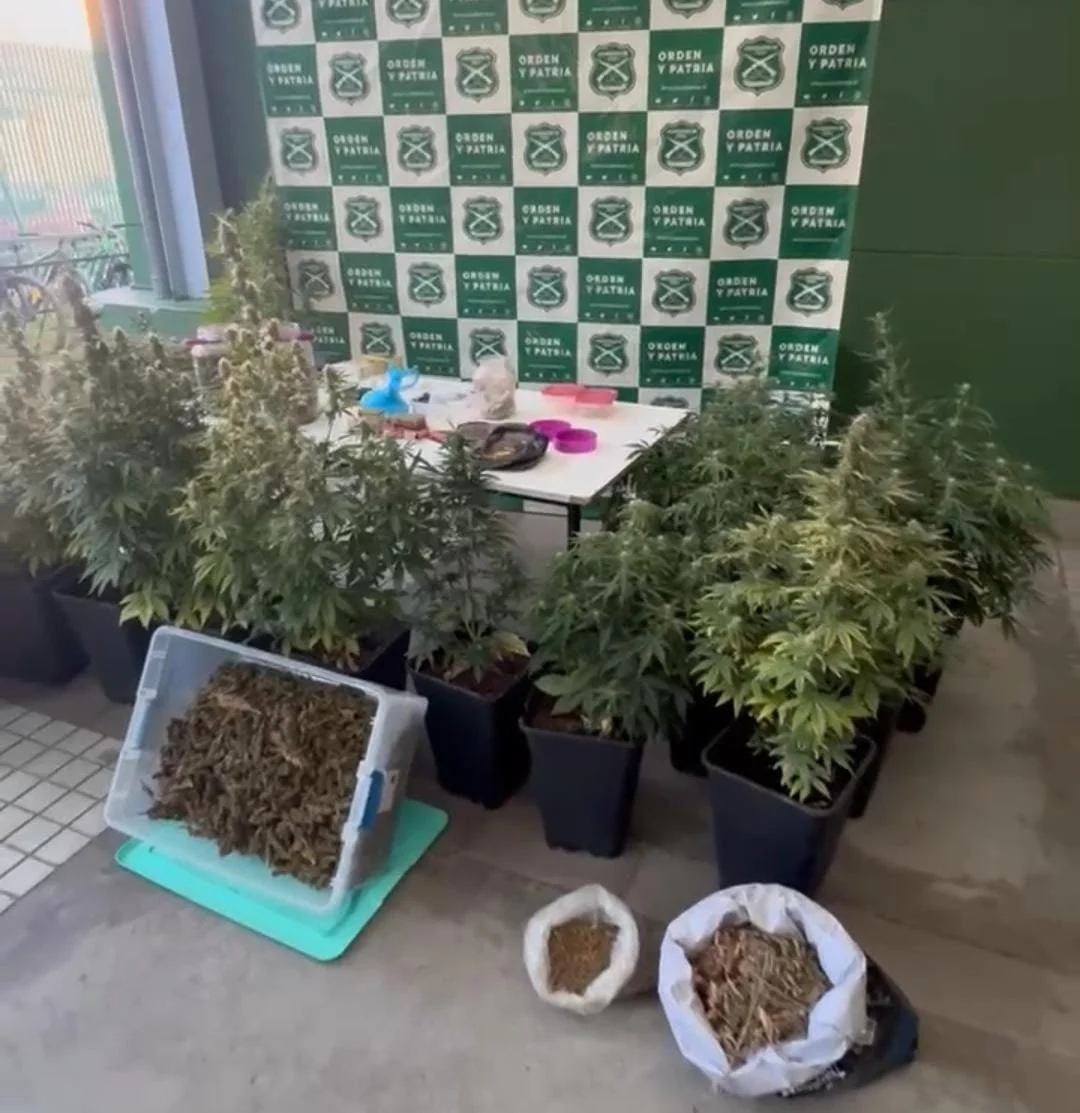 En procedimiento por robo en vivienda: Carabineros desarma laboratorio clandestino de elaboración de drogas en Chillán