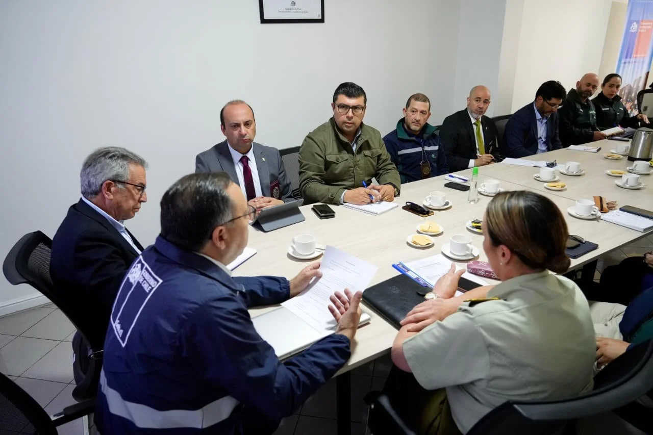 CONAF Ñuble orienta acciones contra robo de madera en mesa regional que busca frenar el crimen organizado