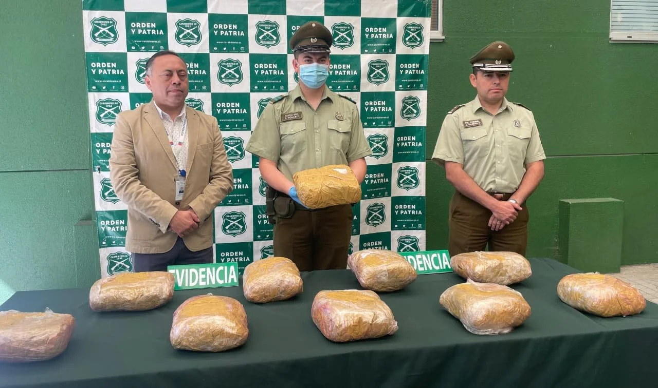 Más de 20 mil dosis de marihuana incautó Carabineros del OS7 Ñuble en control carretero en San Nicolás