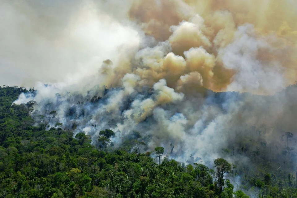 CONAF Ñuble reduce en 87% la superficie afectada por incendios forestales durante la temporada 2025-2026