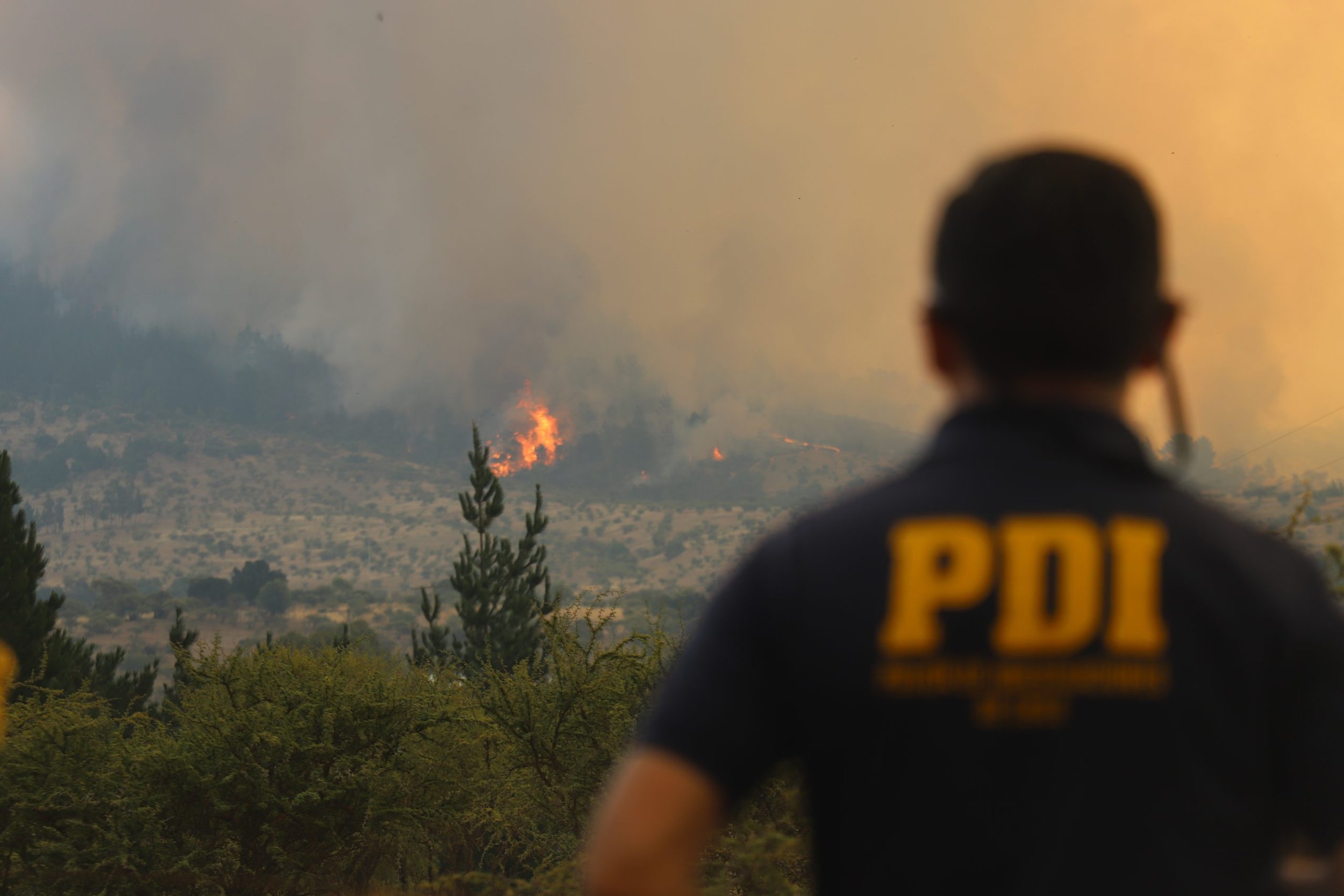PDI Ñuble despliega fuerza de tarea para investigar incendios forestales