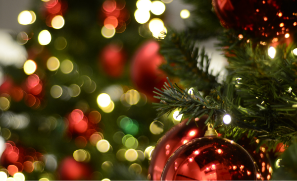 Que la navidad no se transforme en pesadilla: SERNAC entrega recomendaciones de seguridad para estas fiestas&nbsp;