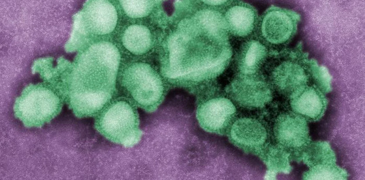 Minsal activa plan integral de preparación por "supergripe" H3N2 y descarta decretar alerta sanitaria exigida por Schalper (RN)