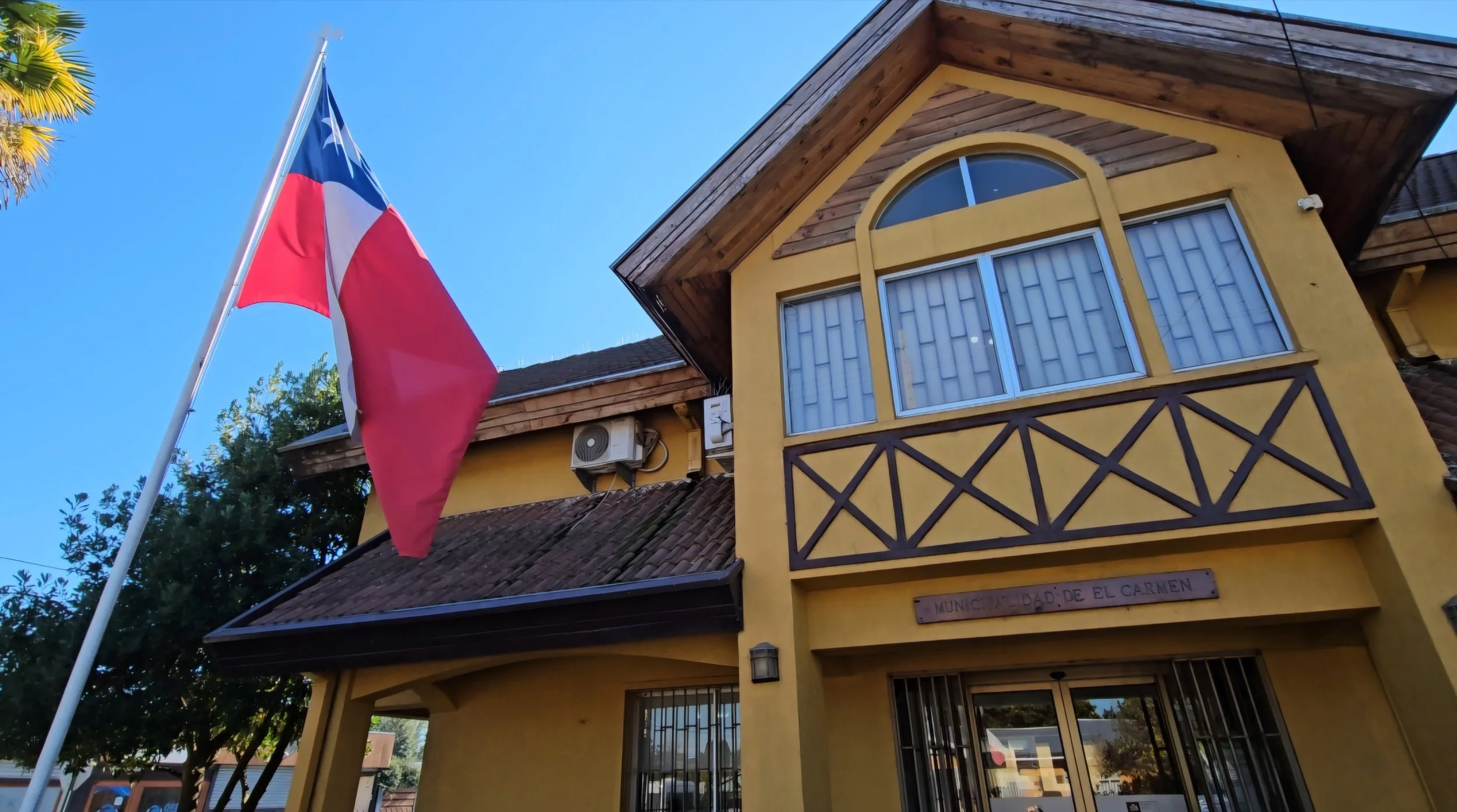 Municipalidad de El Carmen presenta querella por maltrato animal con resultado de muerte